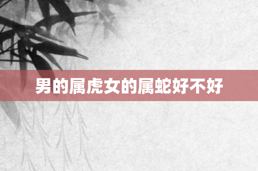 男的属虎女的属蛇好不好