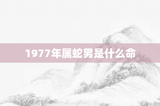 1977年属蛇男是什么命
