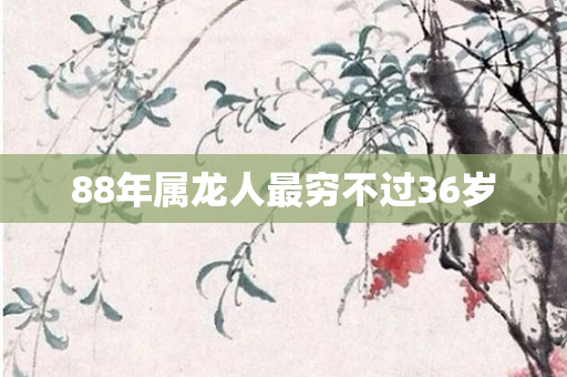 88年属龙人最穷不过36岁