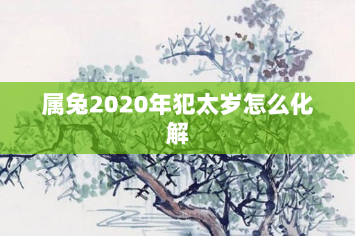属兔2020年犯太岁怎么化解