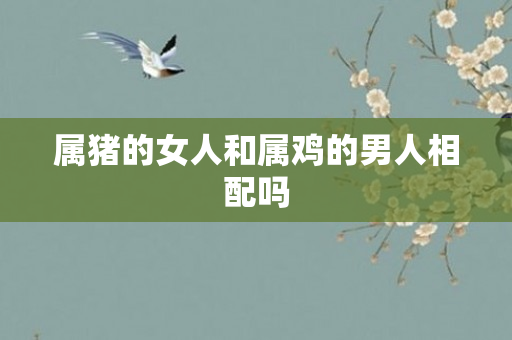 属猪的女人和属鸡的男人相配吗
