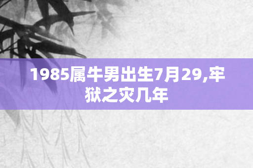 1985属牛男出生7月29,牢狱之灾几年