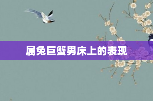 属兔巨蟹男床上的表现