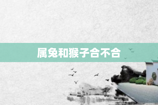 属兔和猴子合不合