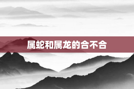 属蛇和属龙的合不合