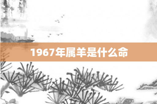 1967年属羊是什么命