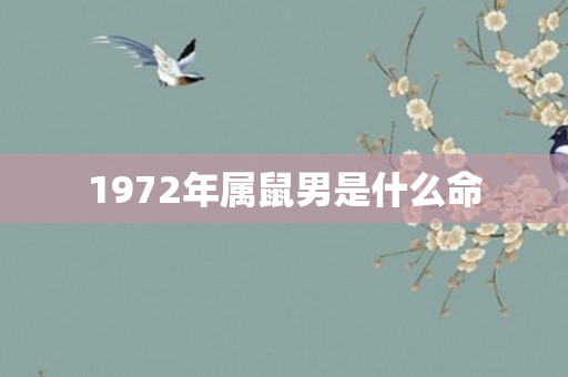 1972年属鼠男是什么命