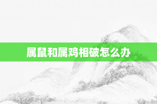 属鼠和属鸡相破怎么办