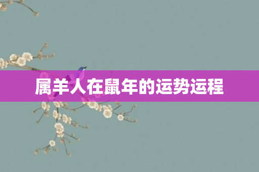 属羊人在鼠年的运势运程