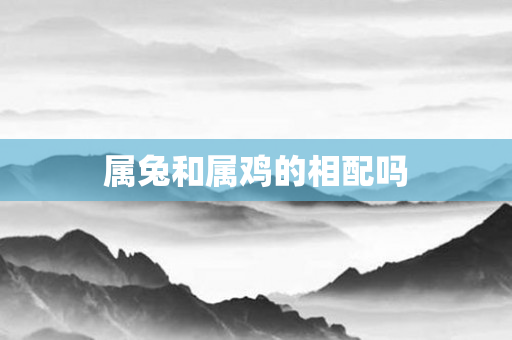 属兔和属鸡的相配吗
