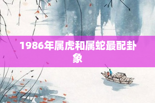 1986年属虎和属蛇最配卦象