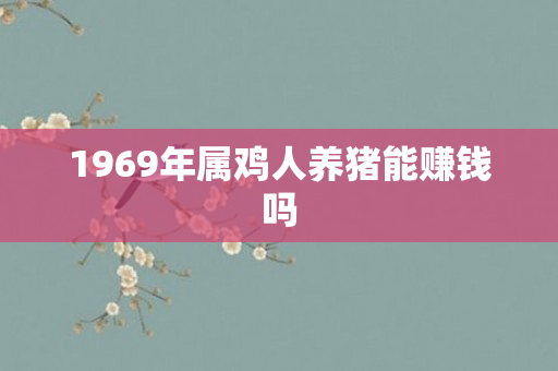 1969年属鸡人养猪能赚钱吗