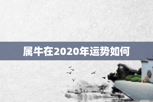 属牛在2020年运势如何