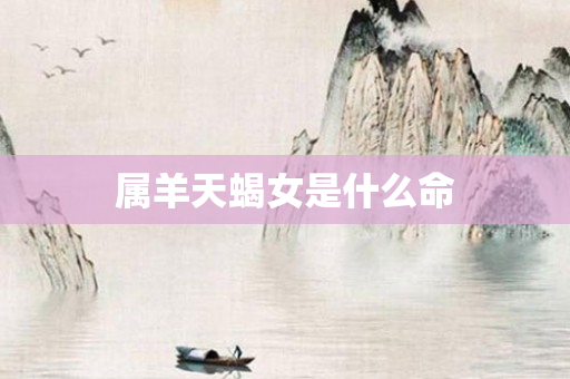 属羊天蝎女是什么命