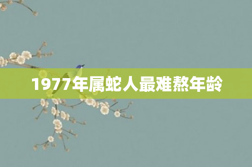 1977年属蛇人最难熬年龄
