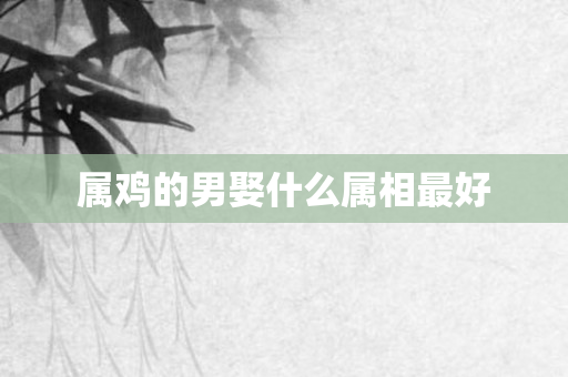 属鸡的男娶什么属相更好