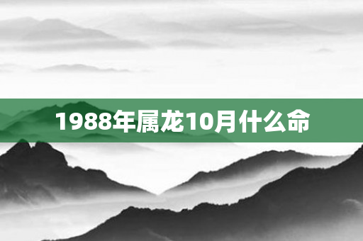 1988年属龙10月什么命