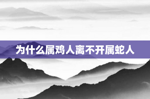 为什么属鸡人离不开属蛇人