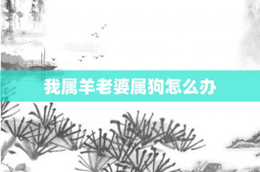 我属羊老婆属狗怎么办