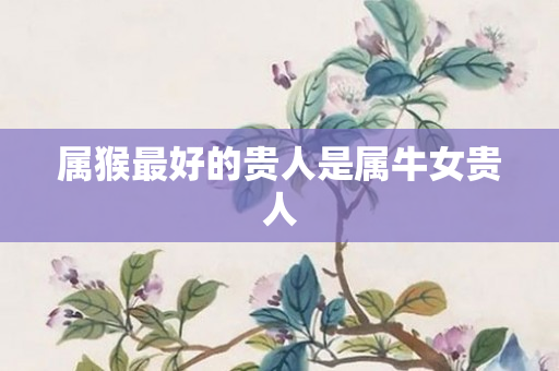 属猴更好的贵人是属牛女贵人