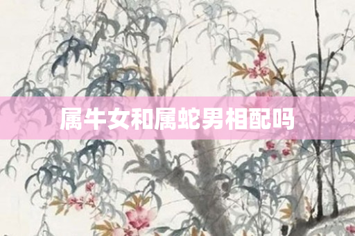 属牛女和属蛇男相配吗