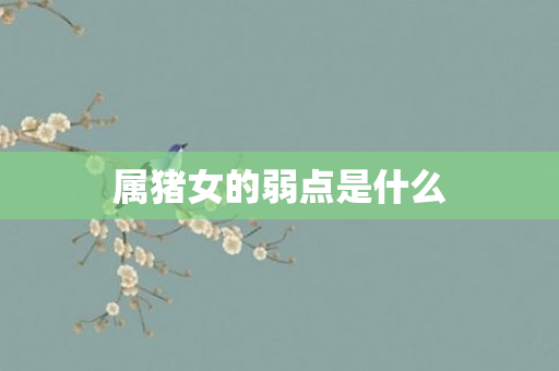 属猪女的弱点是什么