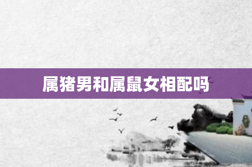 属猪男和属鼠女相配吗