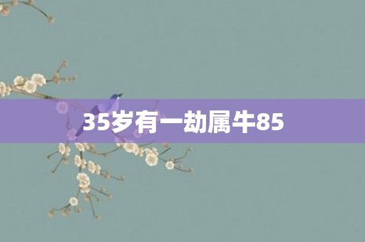 35岁有一劫属牛85