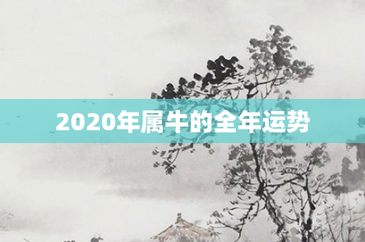 2020年属牛的全年运势