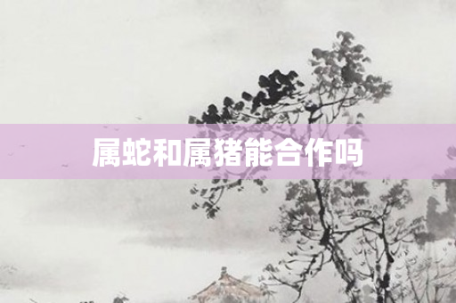 属蛇和属猪能合作吗