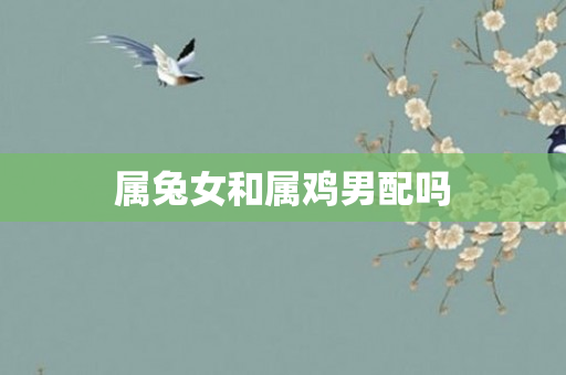 属兔女和属鸡男配吗
