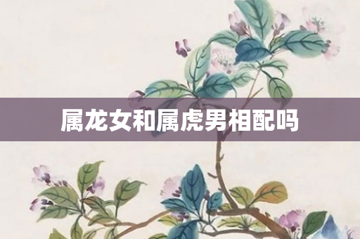 属龙女和属虎男相配吗