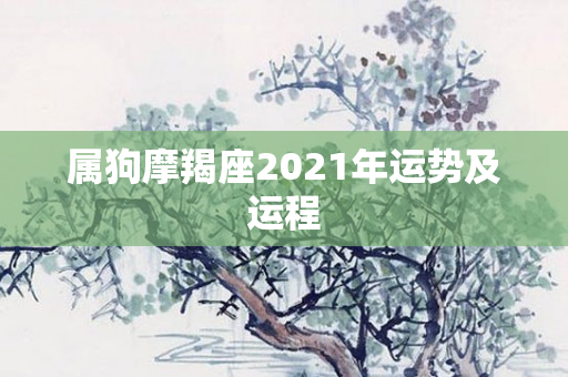 属狗摩羯座2021年运势及运程