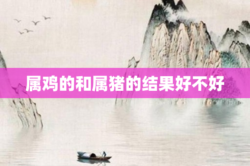属鸡的和属猪的结果好不好