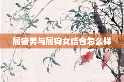 属猪男与属狗女结合怎么样