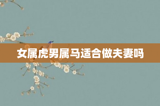 女属虎男属马适合做夫妻吗