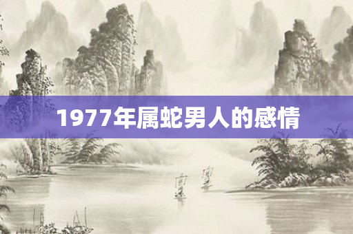 1977年属蛇男人的感情