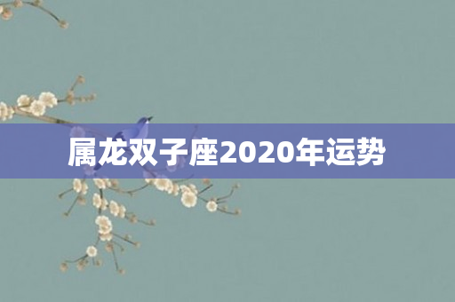 属龙双子座2020年运势