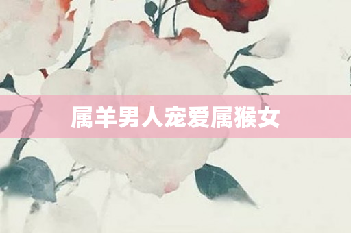属羊男人宠爱属猴女