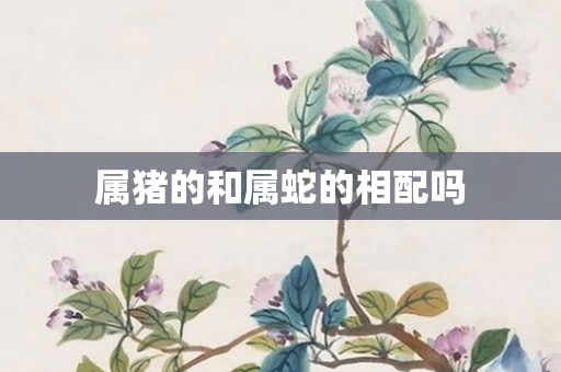 属猪的和属蛇的相配吗