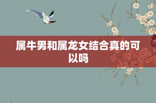 属牛男和属龙女结合真的可以吗