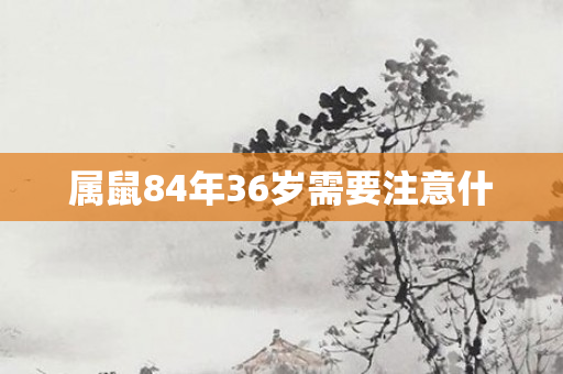 属鼠84年36岁需要注意什