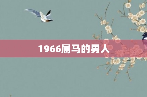 1966属马的男人