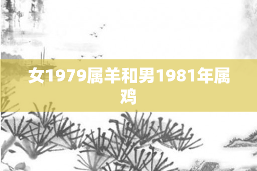 女1979属羊和男1981年属鸡