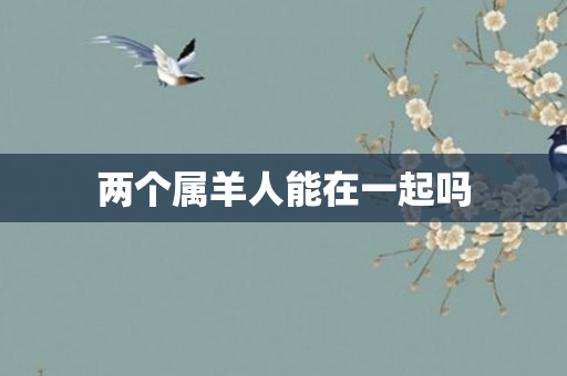 两个属羊人能在一起吗