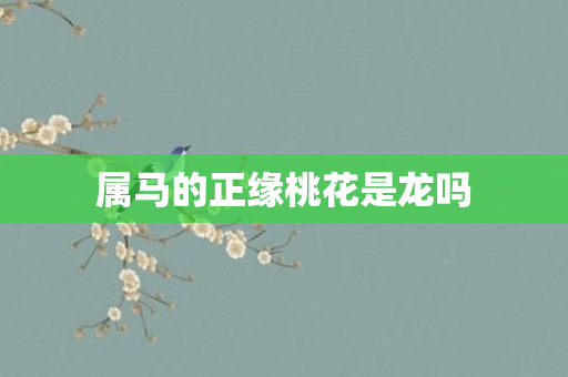 属马的正缘桃花是龙吗