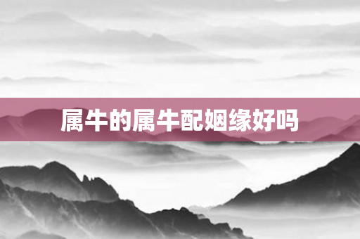 属牛的属牛配姻缘好吗