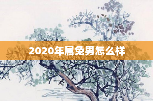 2020年属兔男怎么样