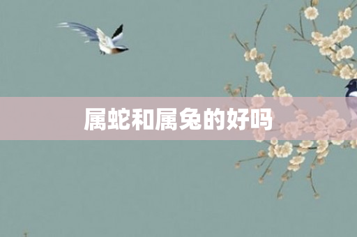 属蛇和属兔的好吗