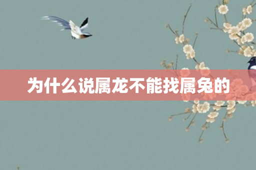 为什么说属龙不能找属兔的